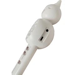 フルシフルート