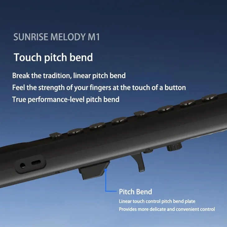 electronic woodwind instrument